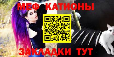 шишки Дубна