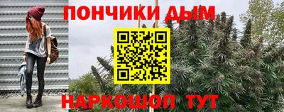 шишки Дубна