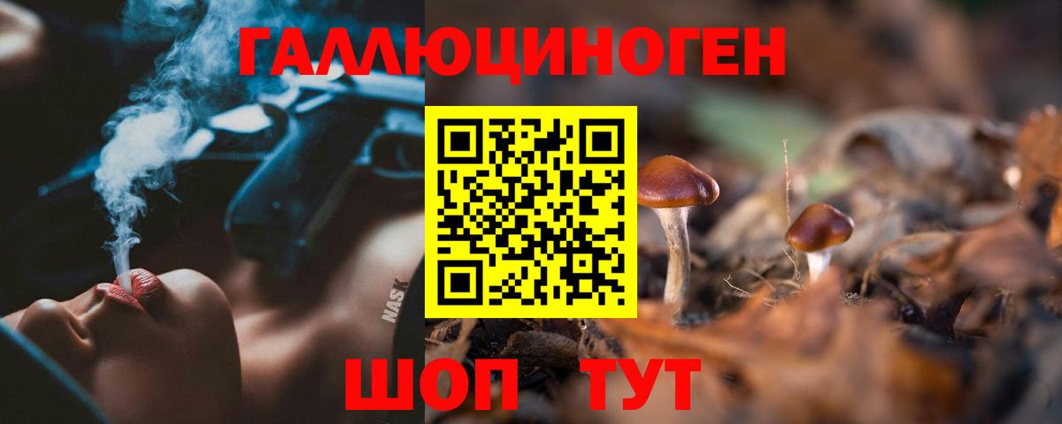 Псилоцибиновые грибы прущие грибы  Галлюциногенные грибы мицелий  Малгобек  Вход с VPN 
